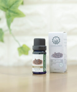 クローブ 10ml